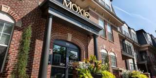 The Moxie Gallery 10