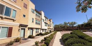 61 MORNING MIMOSA Court Gallery 1
