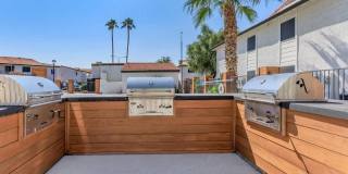 Agave on 83rd Gallery 20