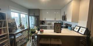 No Broker Fee | Bright 1 Bed in Brighton | Available 9/1 Gallery 3