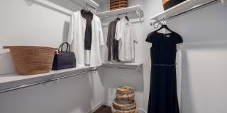 The Merian Gallery 98