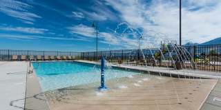 Triton Terrace Gallery 19