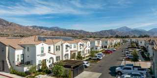 San Carlo Townhomes San Carlo Townhomes Gallery 13