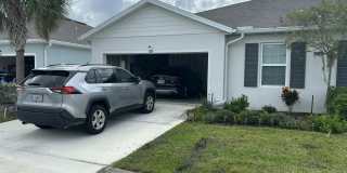 825 PERSIMMON Gallery 1