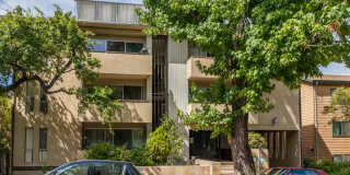 115 Moss Avenue Gallery 1