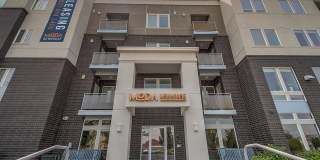 Moda Newhouse Moda Newhouse Gallery 25