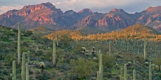 San Carlos Apartments Scottsdale Gallery 17