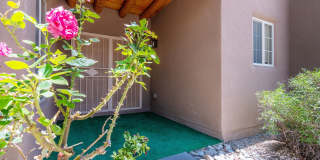 Single Level 3 Bedroom 2.5 Bath home in Desirable neighborhood Available Now! Gallery 27
