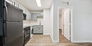 The Deme at Filmore Gallery 13