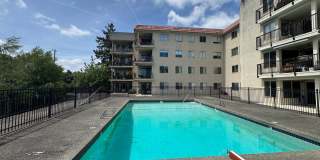 Updated 2-Bedroom Condo with Water Views, 2 Parking Spaces & Poolside Location Gallery 24