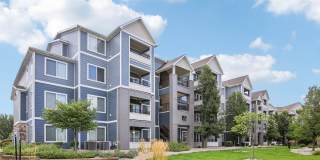 Steeplechase Apartments Steeplechase Apartments Gallery 9