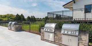 ReNew at the Greens Gallery 31