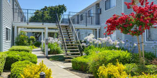 Silverstone Apartments Gallery 24