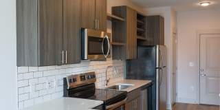 The Patton Gallery 61