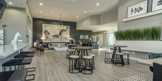 Springs At Cobblestone Lake Gallery 57