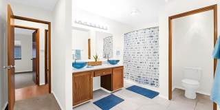 Township Lake Meridian Gallery 21