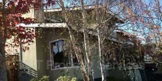 881-D Peach Gallery 1