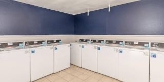 The Lynx Apartments and Townhomes Gallery 18