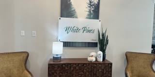 White Pines Gallery 16