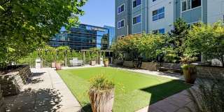 Destinations Lynnwood 61+ Active Adult Apartment Homes Gallery 34