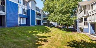Avana Chestnut Hill Gallery 45