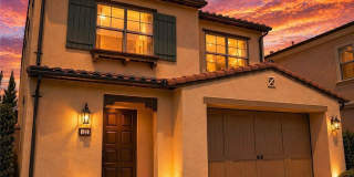 132 Island Coral Gallery 1
