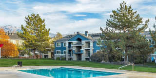 Quail Cove Gallery 14