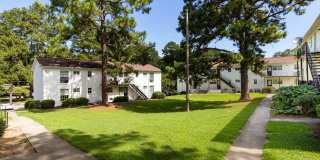 Hidden Colony Gallery 17