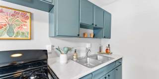 The View on Vivion Gallery 6