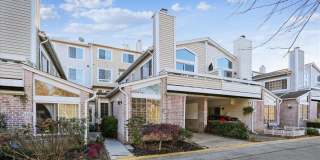 9804 ISLANDSIDE Drive Gallery 1