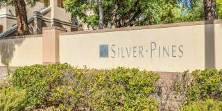 300 Pine Haven Street Gallery 1