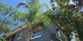 7306 EARLWOOD AVENUE Gallery 1