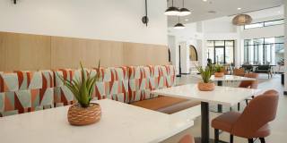 Nacona Apartments Gallery 5