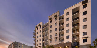 The Upland Gallery 31