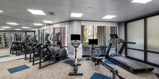 Whetstone Apartments Gallery 13