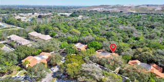 3846 Coral Tree Cir Gallery 40