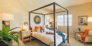 Oro Vista Apartments Gallery 7