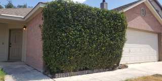 1751 Stargazer Pass Gallery 1