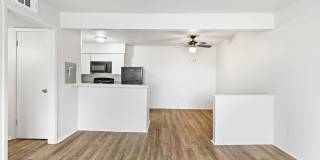 Village South Gallery 18