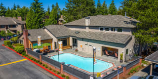 The Seasons Gallery 36