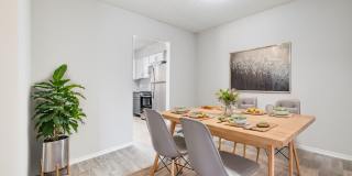 Bella Vista Gallery 17