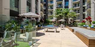 Vive on the Park Gallery 37