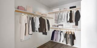 Essence Essence Gallery 55