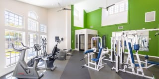 Ellevate St. Ives Gallery 6