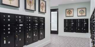 Belle on Bev Belle on Bev Gallery 30