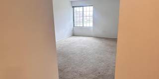 8750 Harrison Avenue unit: 213 Gallery 13