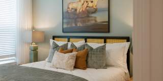 Isla Palmetto Gallery 32