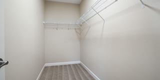 5167 Monterey Pine Lane Gallery 22