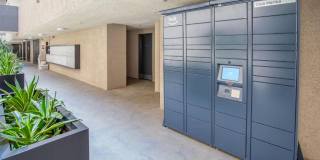 Club Marina Gallery 9