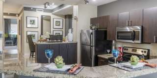 The Palms of Doral Gallery 27